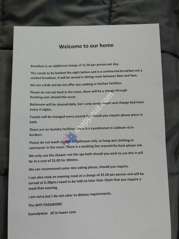 Grant and Sue's alpacas