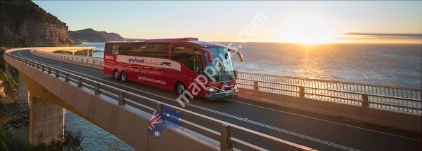 Greyhound Bus Stop Noosa