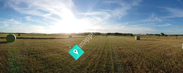 Hadlow Farms Ltd - Waipukurau, New Zealand