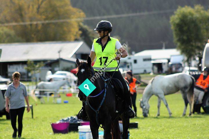 Horse Endurance and Stuff