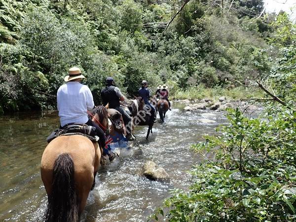 Horsemtrails Tongariro