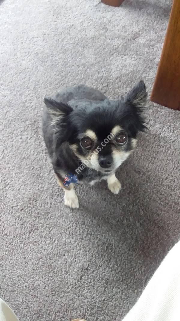 Hunterville Veterinary Clinic/Club