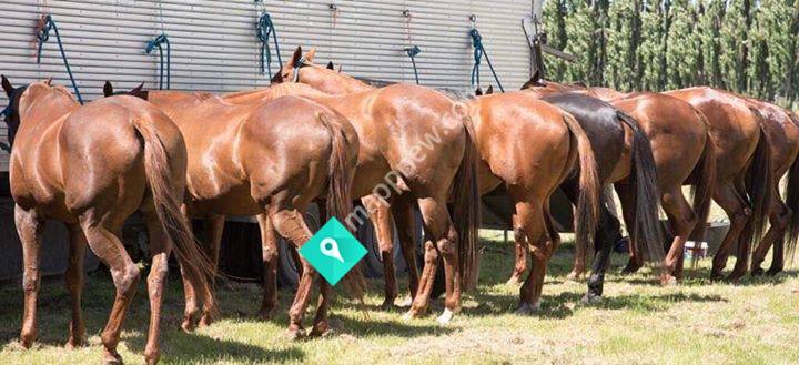 Hurunui Polo Club