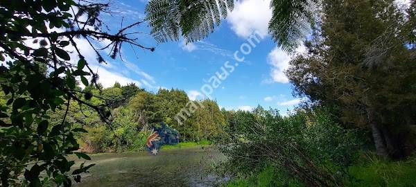 I'Anson Reserve