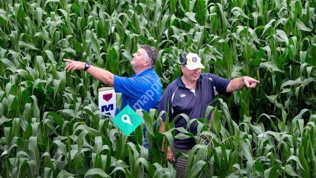 Inglewood Lions Maize Maze