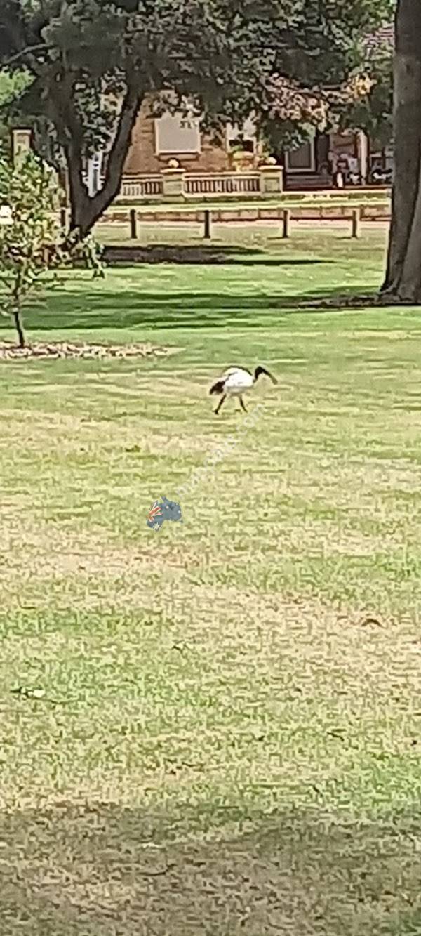 Joseph Cooper Park