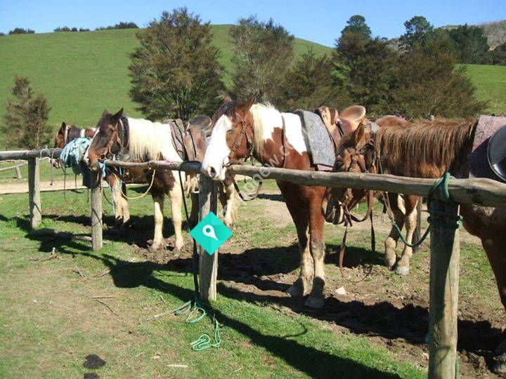 Karamu Trail Track