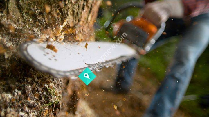 Karl Reid's Tree Services