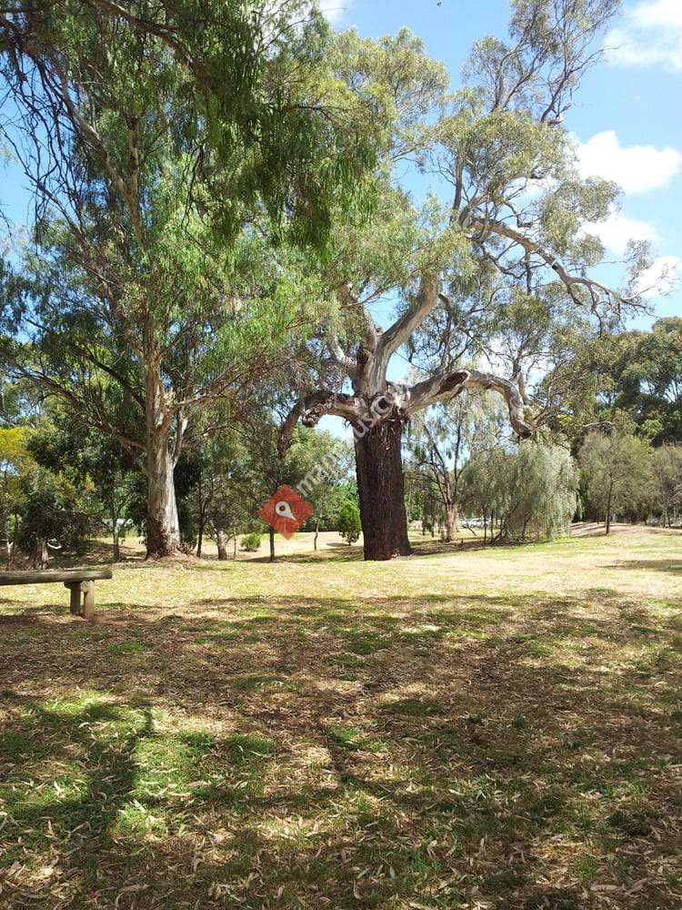 Kenton Avenue Reserve