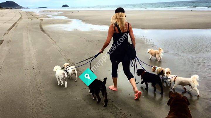 Kim's Little Paws Resort & Cwuzza’s BLOGS.