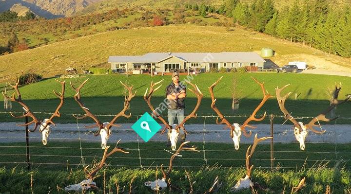 Lake Hawea Hunting Safaris New Zealand