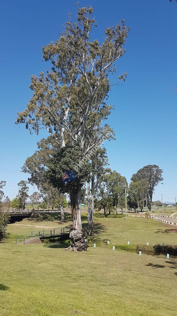 Lions Park
