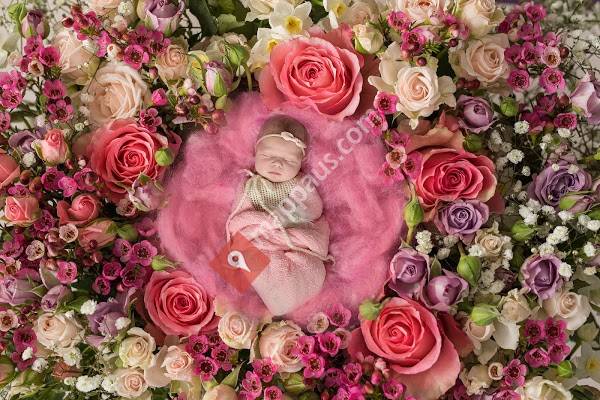 Lisa Clark Photography
