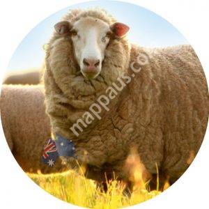 M.C. Herd