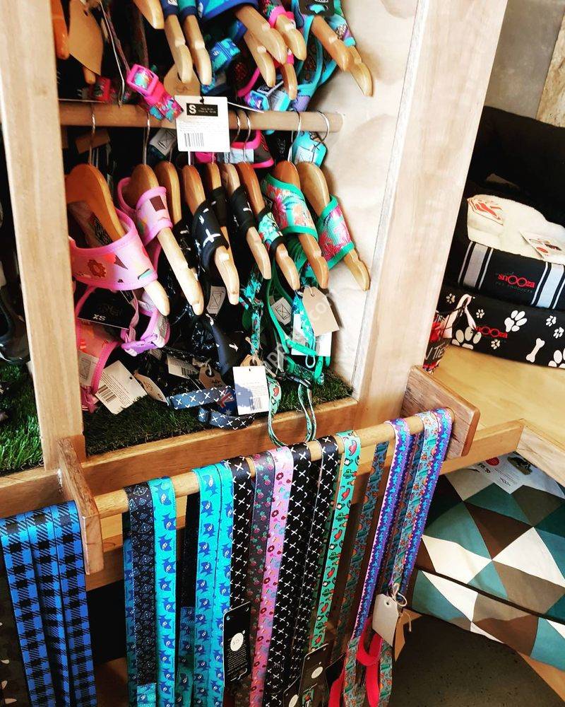 Maggie's Dog Cafe, Shop & Salon