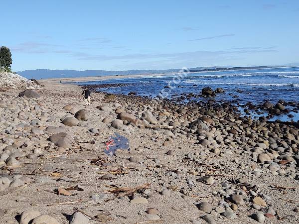 Maketu Beach