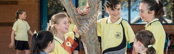 Marri Grove Primary School- An Independent Public School