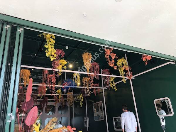 MASTIKA - Ice Cream Jungle of Colour Ringwood