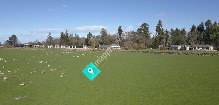Meadowlinks