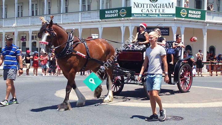 Meike's Carriage Rides