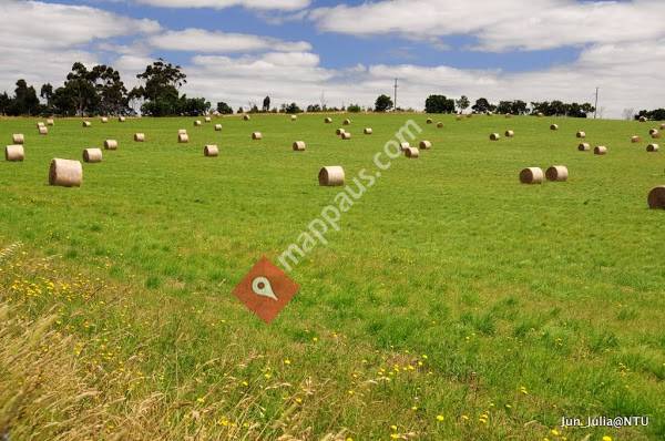 Mernda