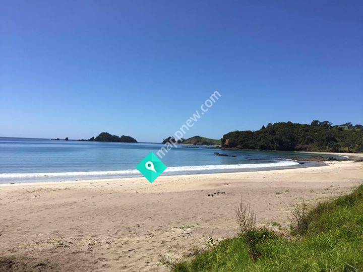 Mini Whananaki