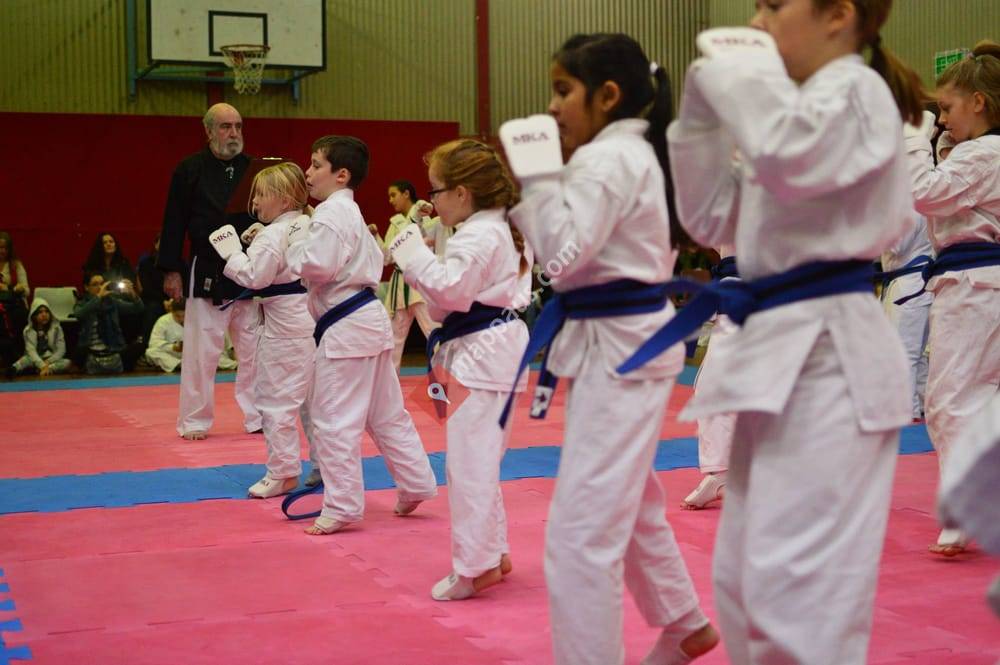MKA Para Vista Dojo