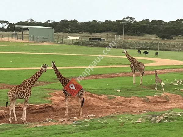 Monarto Zoo