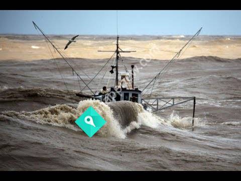 MOSS Limited - Maritime Operator Survey Solutions Limited