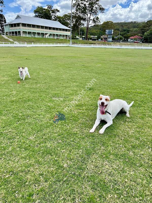 Mount Gravatt Showgrounds