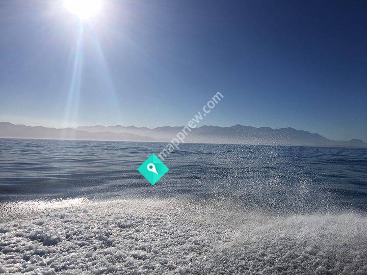 MPI Fisheries - Nelson/Marlborough/Kaikoura