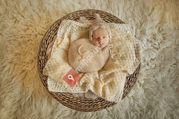 Mulberry Lane Photography