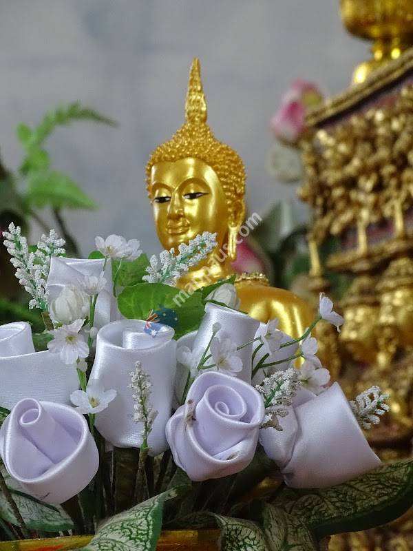 Napitcha's Thai Massage