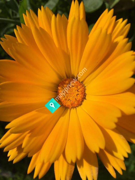 Nature Fix NZ Skincare