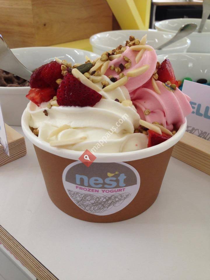 Nest Frozen Yogurt
