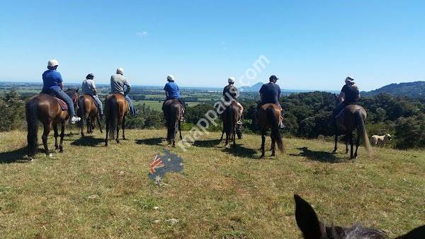Nikau Valley Horse Treks