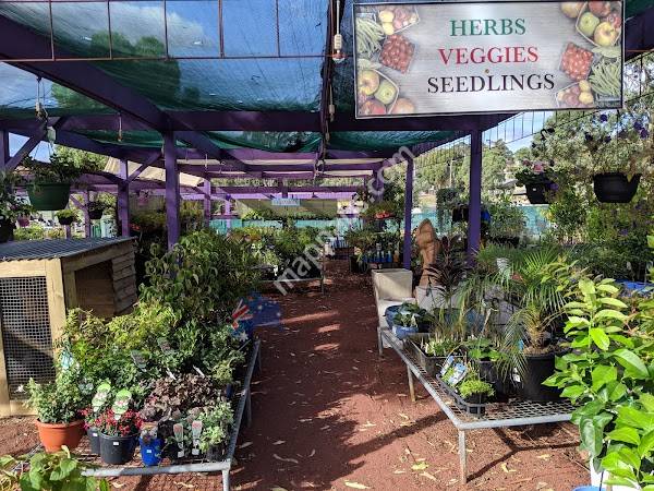 Nillumbik Nursery