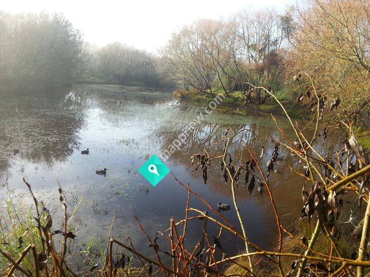 North Shepherd Wetland