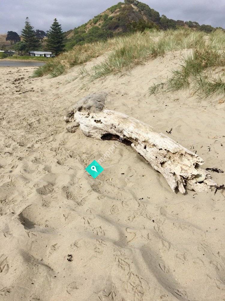 Ocean Beach