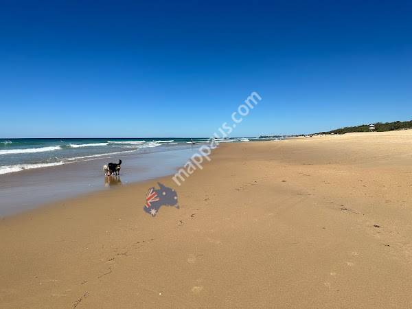 Off Leash Dog Beach