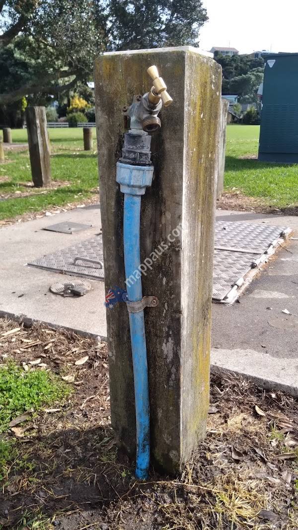 Omokoroa Domain Freedom Camping