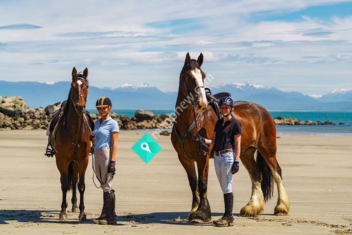 Orepuki Horse Treks