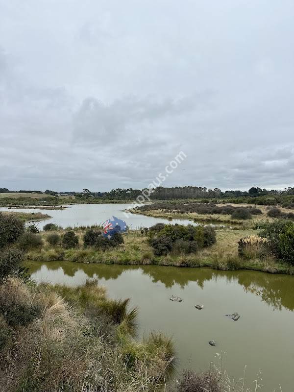 Otipua Wetland