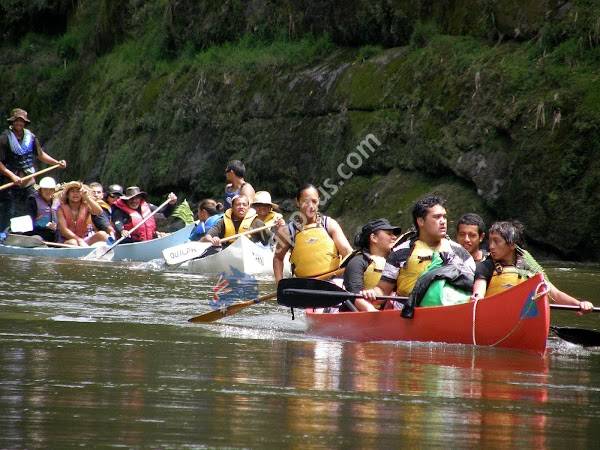 Owhango Adventures
