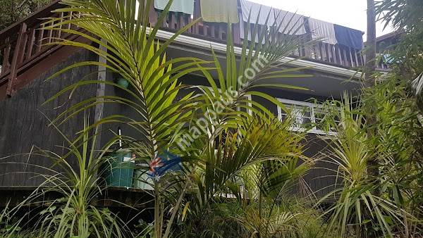 Palm Heights