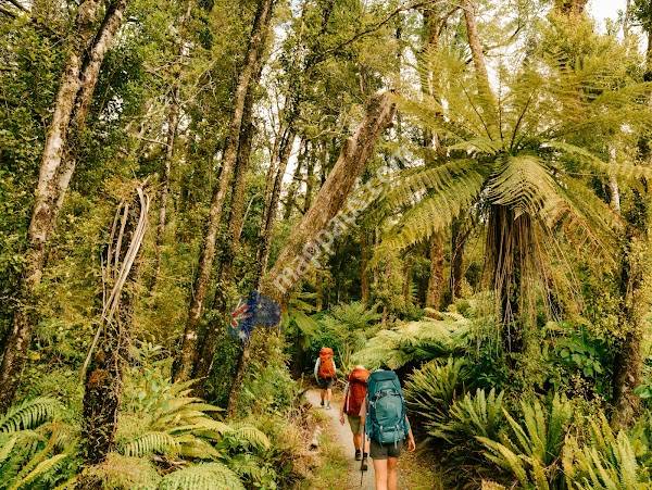 Paparoa Guided Walks