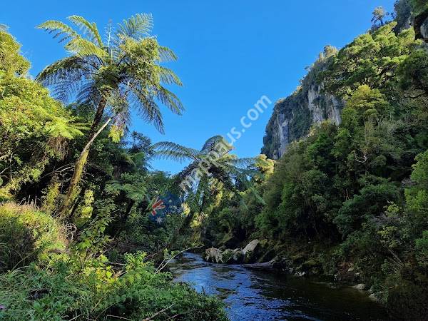 Paparoa National Park