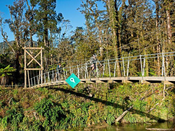 Paparoa Track