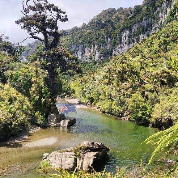 Paparoa Track Services