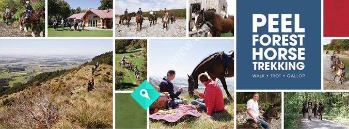 Peel Forest Horse Trekking